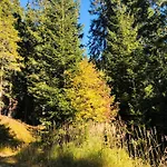 Blockhaus Waldspiel (adults Only)