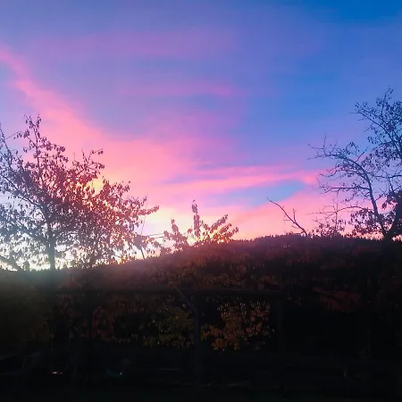 Daire Blockhaus Waldspiel (adults Only) *