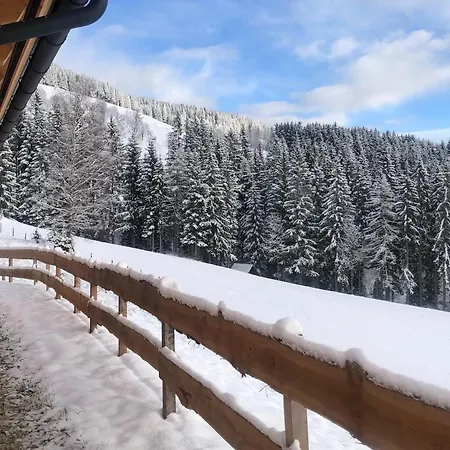 Blockhaus Waldspiel (adults Only) Апартаменты *