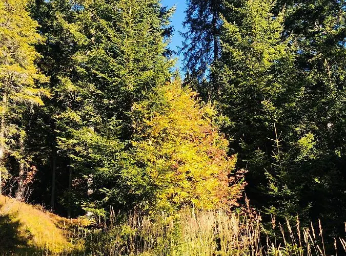 Blockhaus Waldspiel (adults Only)