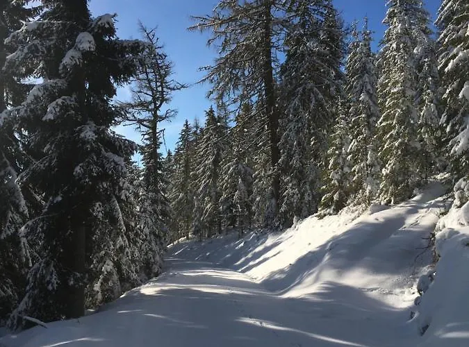 Blockhaus Waldspiel (adults Only) * 日腾