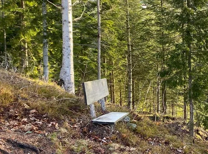 Blockhaus Waldspiel (adults Only) 公寓 日腾